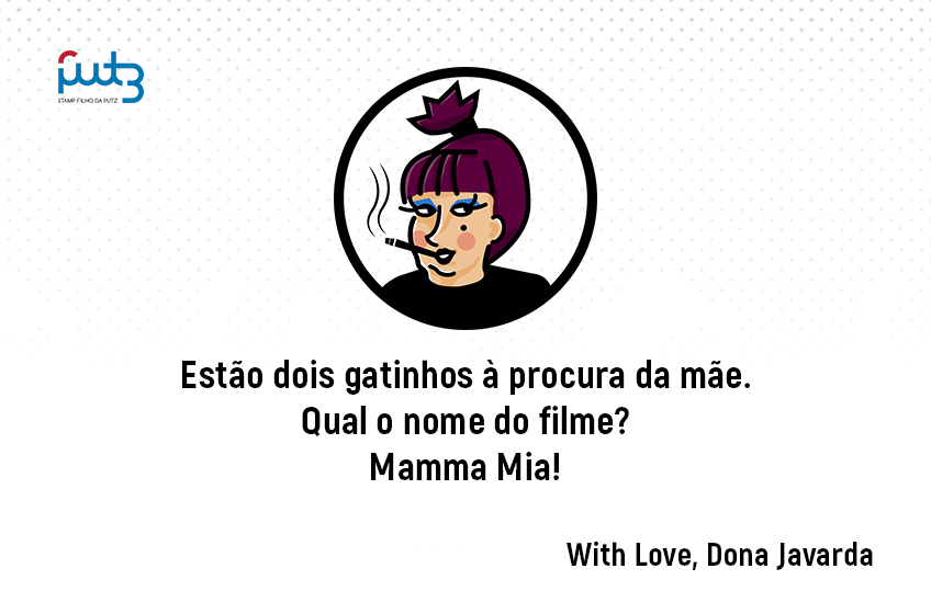 Gatinhos à procura da mãe